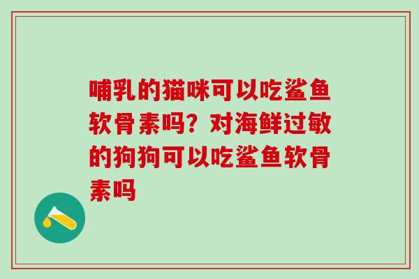 哺乳的猫咪可以吃鲨鱼软骨素吗？对海鲜过敏的狗狗可以吃鲨鱼软骨素吗