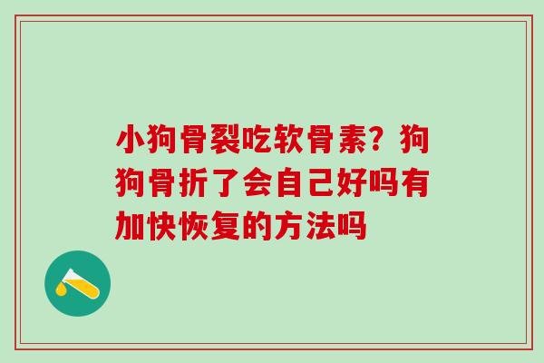 小狗骨裂吃软骨素？狗狗骨折了会自己好吗有加快恢复的方法吗