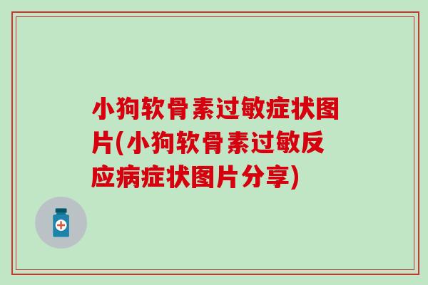 小狗软骨素过敏症状图片(小狗软骨素过敏反应病症状图片分享)