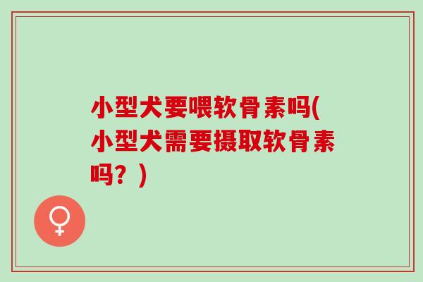 小型犬要喂软骨素吗(小型犬需要摄取软骨素吗？)