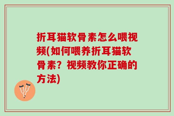 折耳猫软骨素怎么喂视频(如何喂养折耳猫软骨素？视频教你正确的方法)