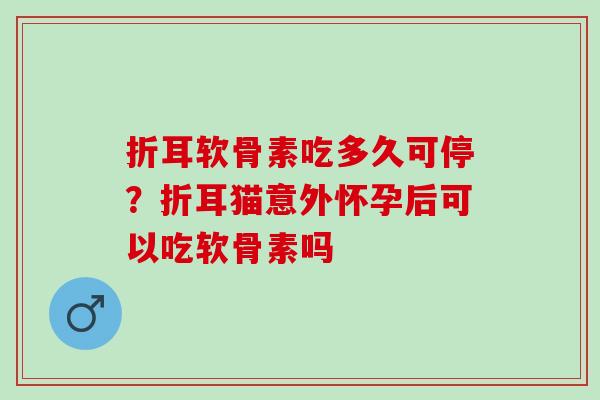折耳软骨素吃多久可停？折耳猫意外怀孕后可以吃软骨素吗
