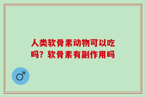 人类软骨素动物可以吃吗？软骨素有副作用吗