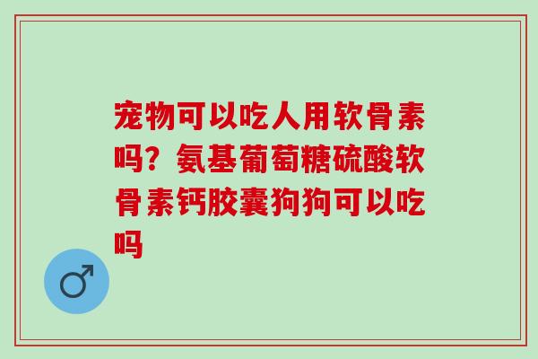 宠物可以吃人用软骨素吗？氨基葡萄糖硫酸软骨素钙胶囊狗狗可以吃吗
