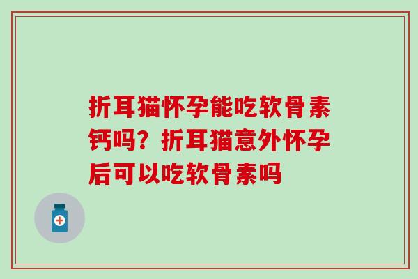 折耳猫怀孕能吃软骨素钙吗？折耳猫意外怀孕后可以吃软骨素吗