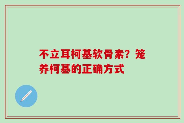 不立耳柯基软骨素？笼养柯基的正确方式