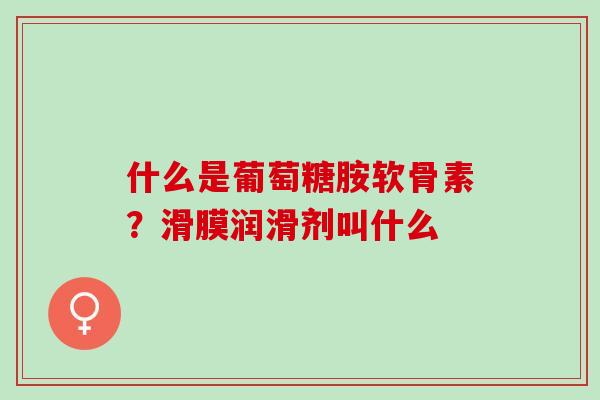 什么是葡萄糖胺软骨素？滑膜润滑剂叫什么