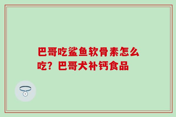巴哥吃鲨鱼软骨素怎么吃?巴哥犬补钙食品 巴哥吃鲨鱼软骨素怎么吃?巴哥犬补钙食品