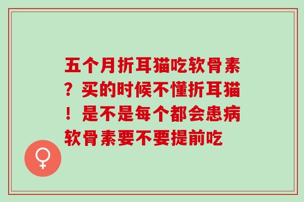 五个月折耳猫吃软骨素？买的时候不懂折耳猫！是不是每个都会患病软骨素要不要提前吃