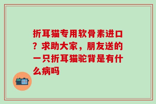 折耳猫专用软骨素进口?求助大家,朋友送的一只折耳猫驼背是有什么吗 折耳猫专用软骨素进口?求助大家,朋友送的一只折耳猫驼背是有什么吗
