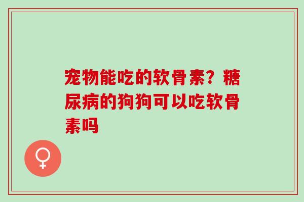 宠物能吃的软骨素？糖尿病的狗狗可以吃软骨素吗
