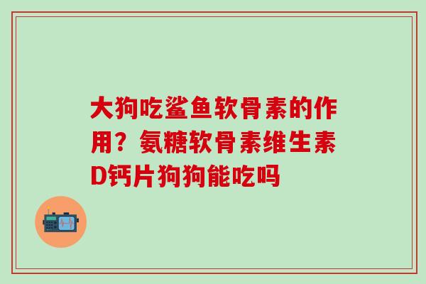 大狗吃鲨鱼软骨素的作用？氨糖软骨素维生素D钙片狗狗能吃吗