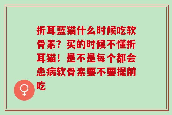 折耳蓝猫什么时候吃软骨素？买的时候不懂折耳猫！是不是每个都会患病软骨素要不要提前吃