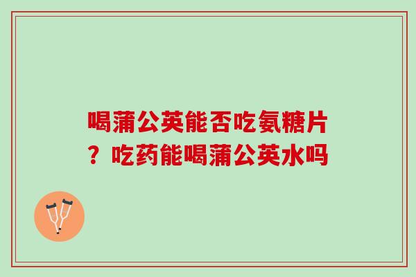 喝蒲公英能否吃氨糖片？吃药能喝蒲公英水吗