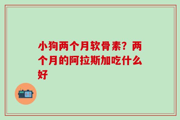 小狗两个月软骨素？两个月的阿拉斯加吃什么好