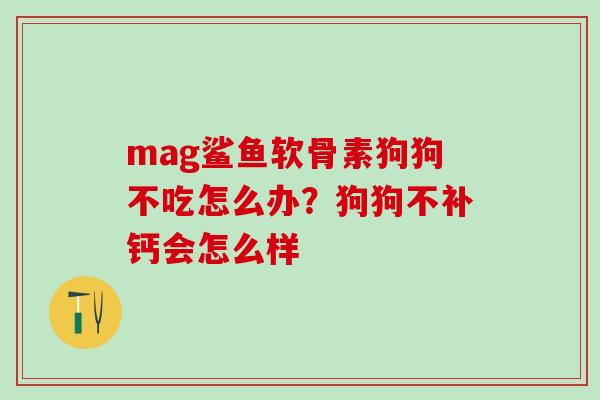mag鲨鱼软骨素狗狗不吃怎么办？狗狗不补钙会怎么样