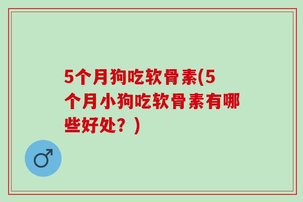 5个月狗吃软骨素(5个月小狗吃软骨素有哪些好处?) 5个月狗吃软骨素(5个月小狗吃软骨素有哪些好处?)