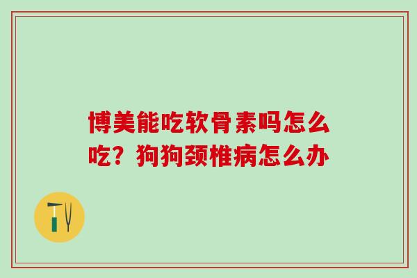 博美能吃软骨素吗怎么吃？狗狗颈椎病怎么办