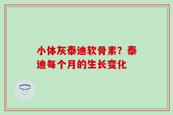 小体灰泰迪软骨素？泰迪每个月的生长变化