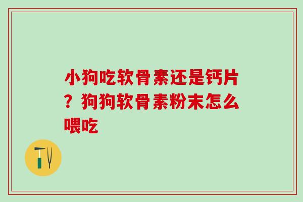 小狗吃软骨素还是钙片？狗狗软骨素粉末怎么喂吃