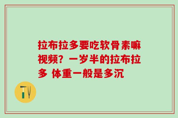 拉布拉多要吃软骨素嘛视频?一岁半的拉布拉多 体重一般是多沉 拉布拉多要吃软骨素嘛视频?一岁半的拉布拉多 体重一般是多沉
