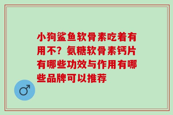 小狗鲨鱼软骨素吃着有用不？氨糖软骨素钙片有哪些功效与作用有哪些品牌可以推荐