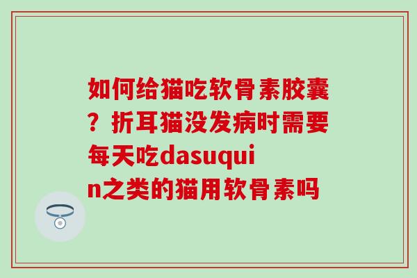 如何给猫吃软骨素胶囊？折耳猫没发病时需要每天吃dasuquin之类的猫用软骨素吗
