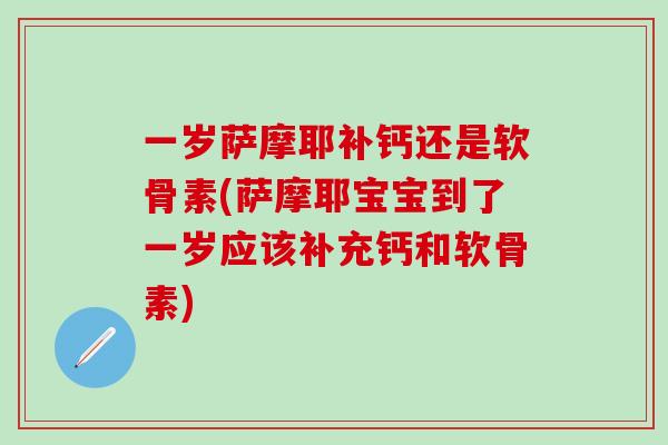 一岁萨摩耶补钙还是软骨素(萨摩耶宝宝到了一岁应该补充钙和软骨素)
