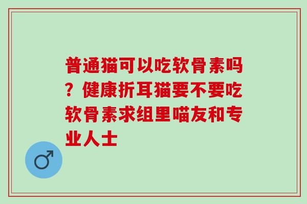 普通猫可以吃软骨素吗？健康折耳猫要不要吃软骨素求组里喵友和专业人士