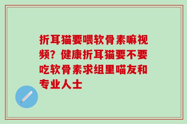 折耳猫要喂软骨素嘛视频？健康折耳猫要不要吃软骨素求组里喵友和专业人士