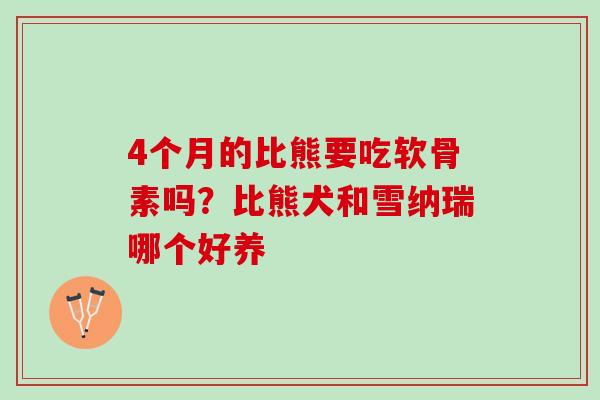 4个月的比熊要吃软骨素吗？比熊犬和雪纳瑞哪个好养
