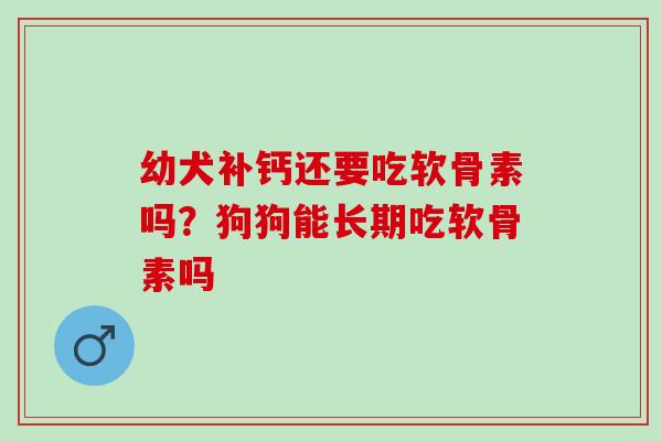 幼犬补钙还要吃软骨素吗？狗狗能长期吃软骨素吗