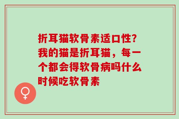 折耳猫软骨素适口性？我的猫是折耳猫，每一个都会得软骨吗什么时候吃软骨素