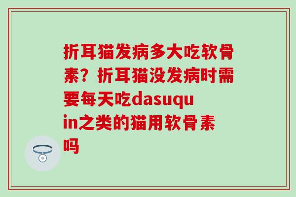 折耳猫发多大吃软骨素?折耳猫没发时需要每天吃dasuquin之类的猫用软骨素吗 折耳猫发多大吃软骨素?折耳猫没发时需要每天吃dasuquin之类的猫用软骨素吗