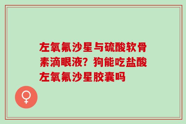 左氧氟沙星与硫酸软骨素滴眼液？狗能吃盐酸左氧氟沙星胶囊吗