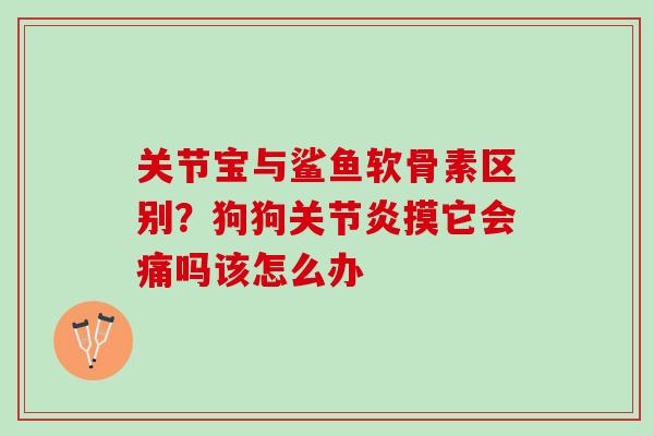 关节宝与鲨鱼软骨素区别？狗狗关节炎摸它会痛吗该怎么办