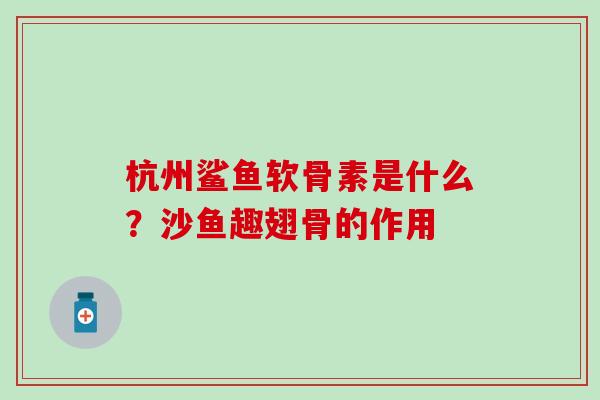 杭州鲨鱼软骨素是什么？沙鱼趣翅骨的作用