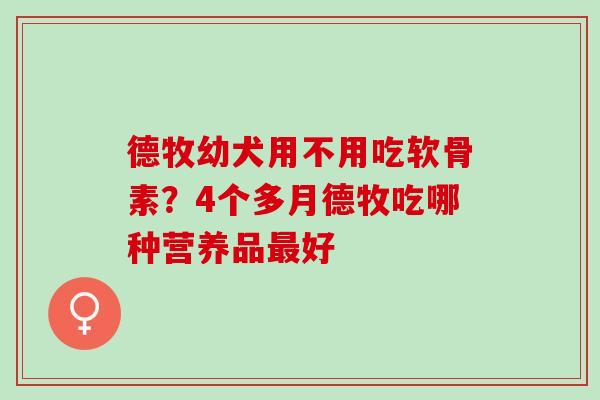 德牧幼犬用不用吃软骨素？4个多月德牧吃哪种营养品最好