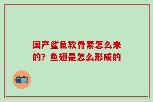 国产鲨鱼软骨素怎么来的？鱼翅是怎么形成的