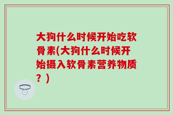 大狗什么时候开始吃软骨素(大狗什么时候开始摄入软骨素营养物质？)
