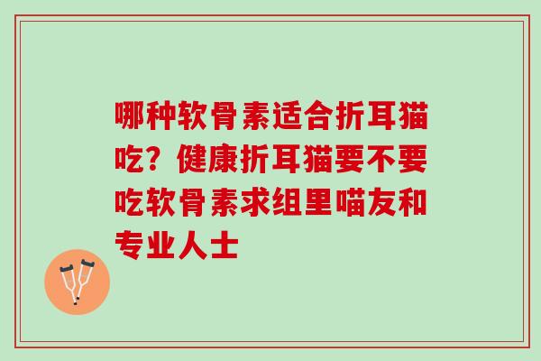 哪种软骨素适合折耳猫吃？健康折耳猫要不要吃软骨素求组里喵友和专业人士