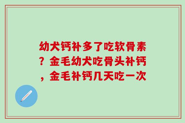 幼犬钙补多了吃软骨素？金毛幼犬吃骨头补钙，金毛补钙几天吃一次