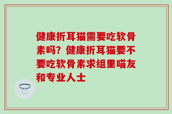 健康折耳猫需要吃软骨素吗？健康折耳猫要不要吃软骨素求组里喵友和专业人士