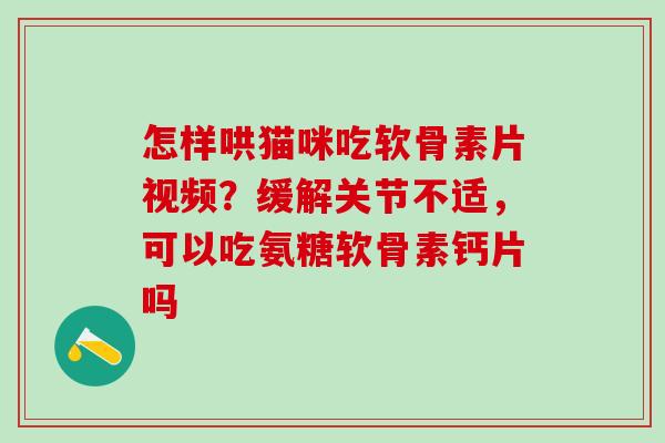 怎样哄猫咪吃软骨素片视频？缓解关节不适，可以吃氨糖软骨素钙片吗