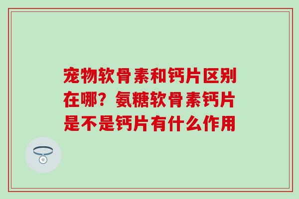 宠物软骨素和钙片区别在哪？氨糖软骨素钙片是不是钙片有什么作用