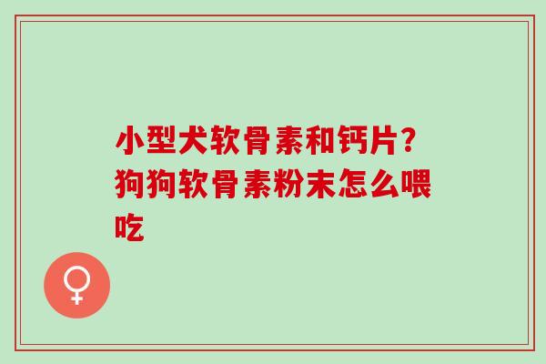小型犬软骨素和钙片？狗狗软骨素粉末怎么喂吃