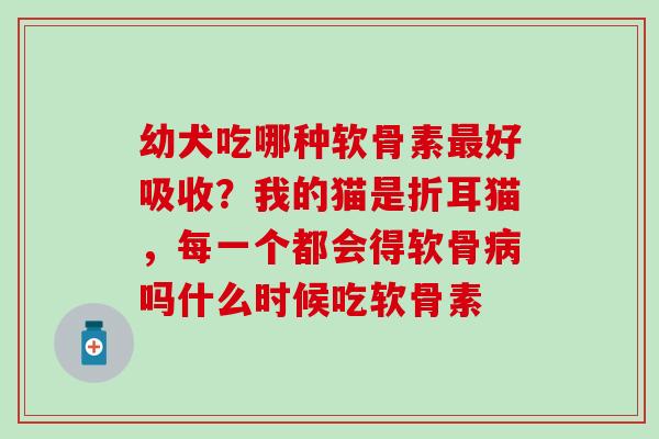 幼犬吃哪种软骨素最好吸收？我的猫是折耳猫，每一个都会得软骨病吗什么时候吃软骨素