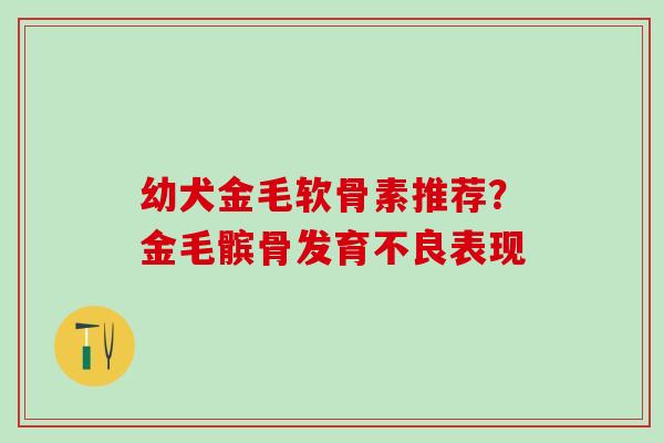 幼犬金毛软骨素推荐？金毛髌骨发育不良表现