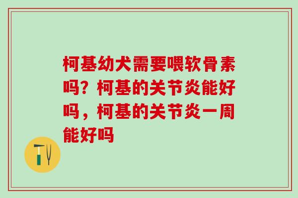 柯基幼犬需要喂软骨素吗？柯基的关节炎能好吗，柯基的关节炎一周能好吗