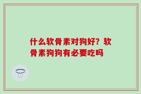 什么软骨素对狗好？软骨素狗狗有必要吃吗